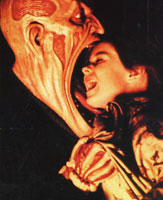 Robert Englund - New Nightmare