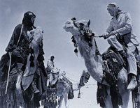 Lawrence of Arabia