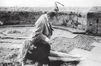 Donald Pleasence - Cul-de-sac