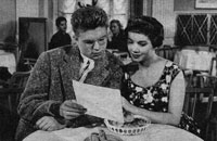 Hardy Krüger, Nicole Besnard - An der schönen blauen Donau