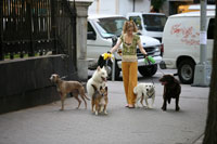 Evan Rachel Wood - Whatever Works