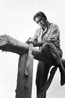 Anthony Quinn - Alexis Zorbas