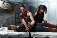 Emma Fitzpatrick, Josh Stewart, Shannon Kane - The Collection