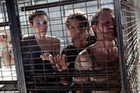 Emma Fitzpatrick, Shannon Kane, Josh Stewart - The Collection