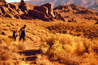 Josh Charles, Andrea Roth - Crossworlds