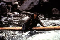  Ice-T - Surviving the Game