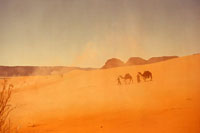 Peter O'Toole - Lawrence of Arabia