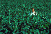 Kevin Costner - Field of Dreams