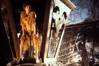 Julia Roberts - Hook