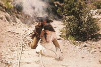 Frank Silvera, Barbara Rush - Hombre