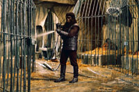 Planet of the Apes
