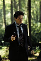 David Duchovny - The X Files