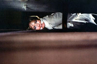 Suzy Kendall - L'uccello dalle piume di cristallo