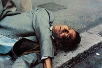 Umberto Raho - L'uccello dalle piume di cristallo