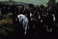 Antonio Banderas, Dennis Storhøi, Tony Curran - The 13th Warrior