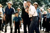 Harrison Ford, Viggo Mortensen, Lukas Haas, Alexander Godunov, Jan Rubes - Witness