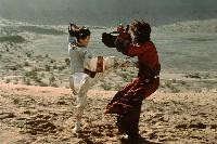 Chen Chang, Ziyi Zhang - Wo hu cang long