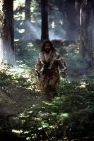 Chuck Norris - Forest Warrior