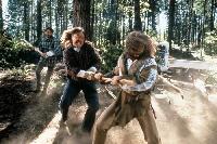 Chuck Norris - Forest Warrior