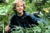 Josh Wolford - Forest Warrior