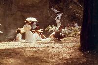 Vivean Gray, Helen Morse, Jane Vallis, John Jarratt, Anne-Louise Lambert, Margaret Nelson - Picnic at Hanging Rock