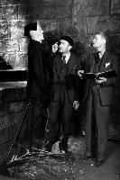 James Whale, John J. Mescall - The Bride of Frankenstein