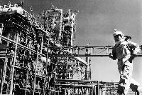 Harp McGuire - On the Beach